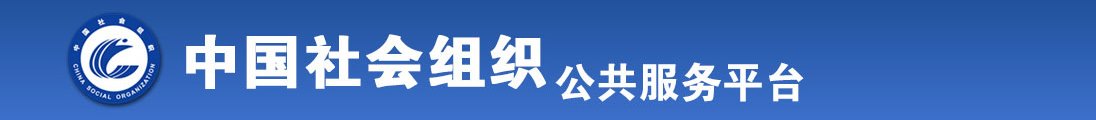 搬开屄全国社会组织信息查询